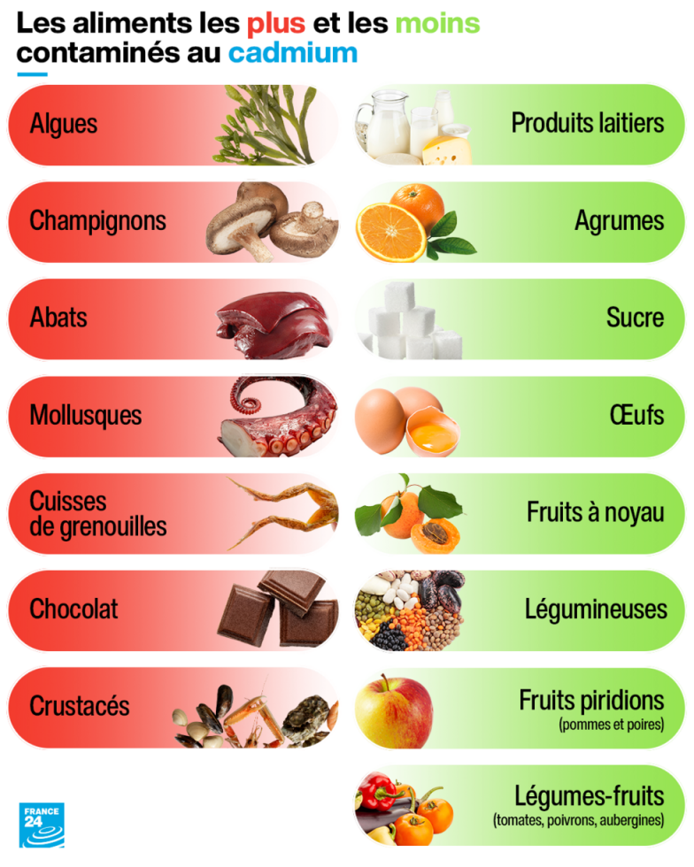 Pfas et cadmium : le guide pour boire et manger sans (trop) s'empoisonner (3/3)