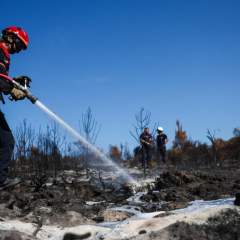 Les incendies en France sont globalement "sous contrôle", assure le Premier ministre
