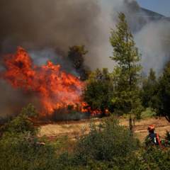 En Grèce, les vents violents rendent la lutte contre les incendies "extrêmement difficile"