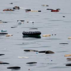Ceuta : au moins 72 migrants sont morts en tentant de rejoindre l'enclave espagnole