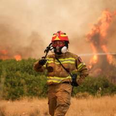 Entre incendies et sécheresse, l'été caniculaire continue de sévir en Europe