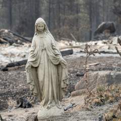 Incendies aux États-Unis : Spokane, dans l'État de Washington, ressemble à une "zone de guerre"