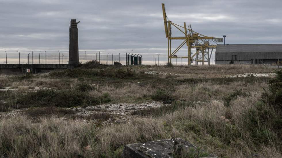 En Gironde, le projet contesté de mégaferme à saumons autorisé par la préfecture