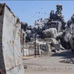 Visa pour l'image : des photos pour comprendre le monde