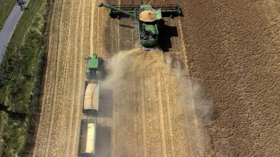 Baisse de la production mondiale de céréales : le retour des stocks stratégiques ?