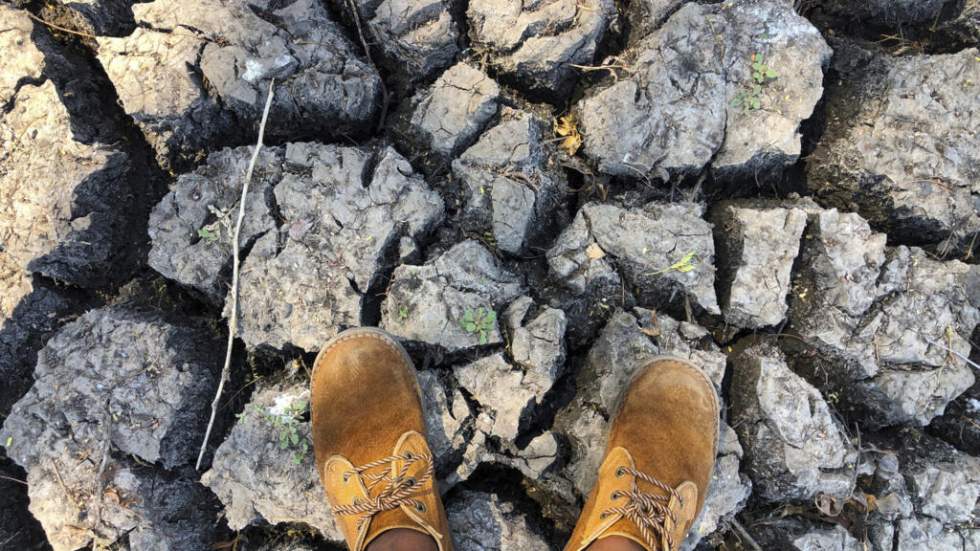 L'ONU prévoit un El Nino "d'une ampleur exceptionnelle", amené à durer