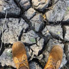 L'ONU prévoit un El Nino "d'une ampleur exceptionnelle", amené à durer