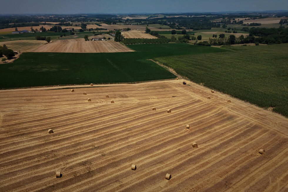 Sécheresse : un milliard d'euros pour l'agriculture, un aide "insuffisante" selon les syndicats Sécheresse : un milliard d'euros pour l'agriculture, un aide "insuffisante" selon les syndicats