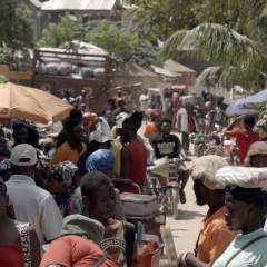Dans le nord-ouest d'Haïti, les agriculteurs à l’épreuve de la sécheresse et de la violence