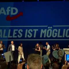 Afd: avertissement pour l'Europe ?