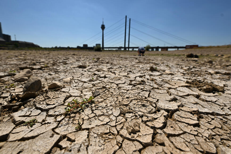 Août 2026 a été le mois le plus chaud jamais mesuré sur Terre